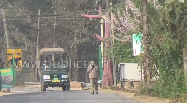 Officers Safari A .jpg