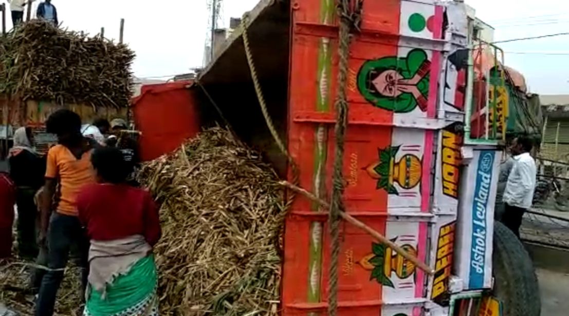 Ygr Lorry palti