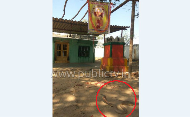 dvg swamiji nagara havu 1