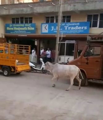hbl hasu rodhane 2