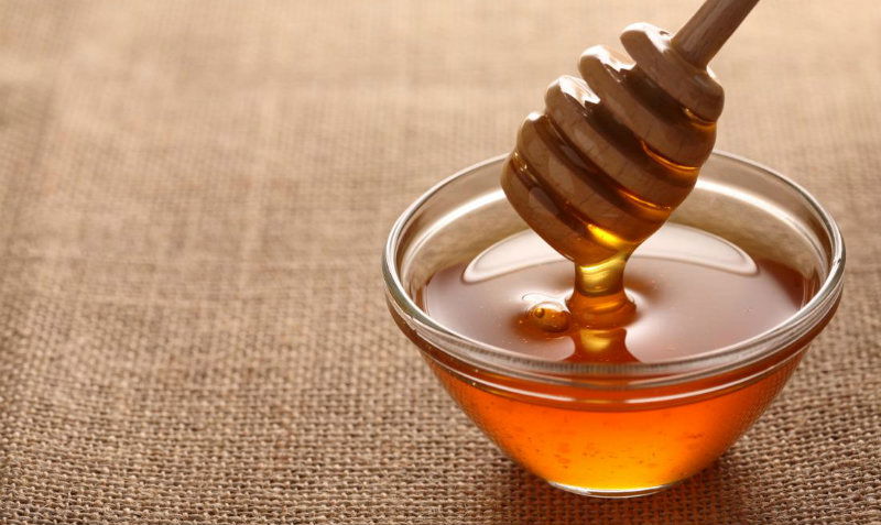 honey college