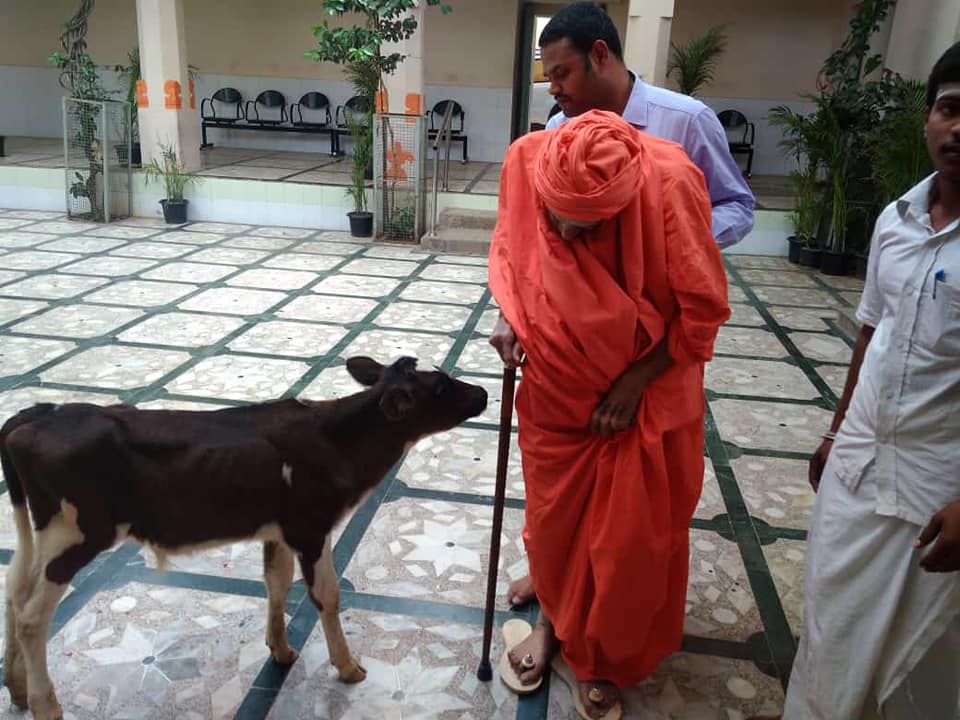 siddaganga animal love 2