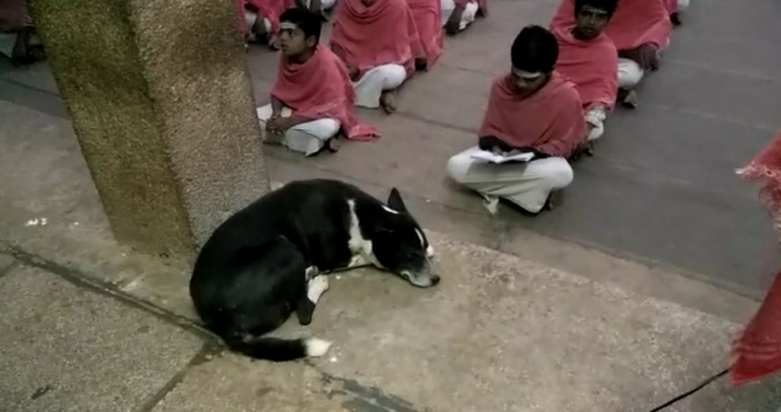 tmk childrens 2