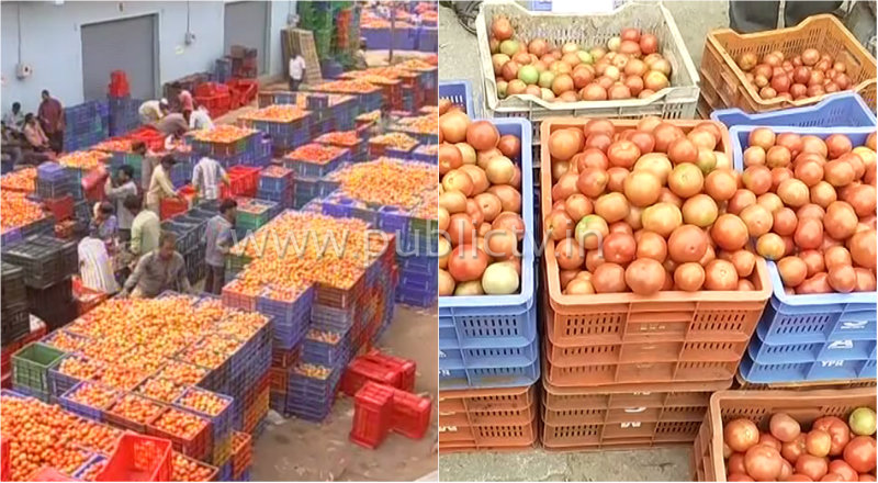 tomato rate 1