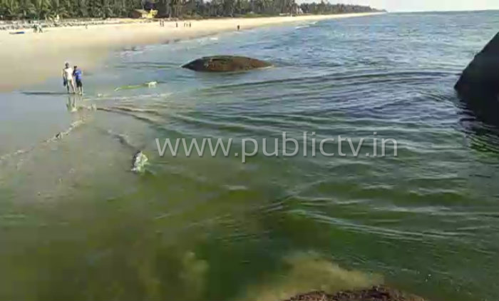 udp green beach 1