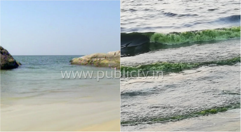 udp green beach 2