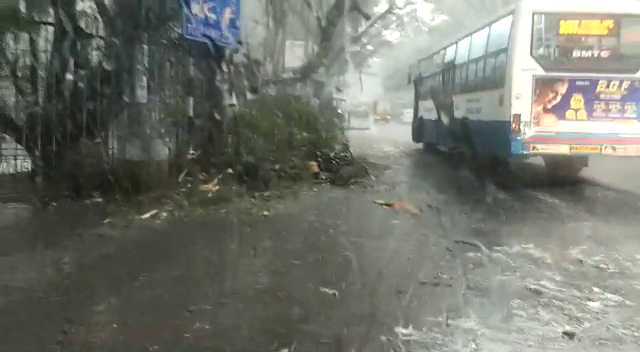 BNG RAIN