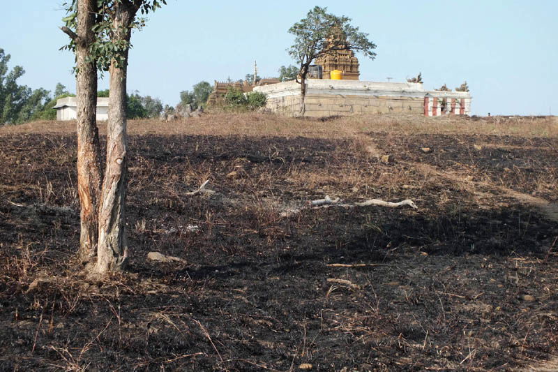 Bandipur 3