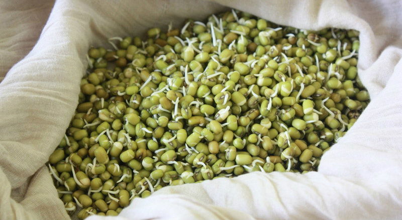 Green Moong dal Sprouts