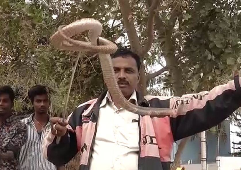 air show snake