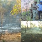 bandipur