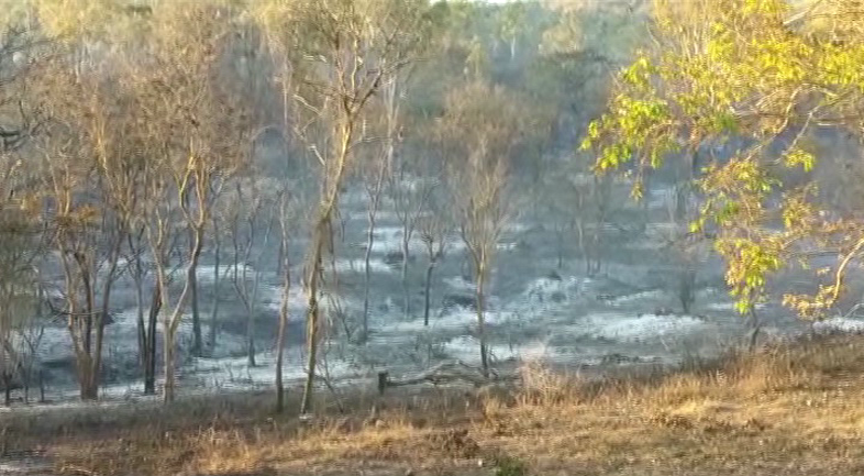 bandipur fire 1