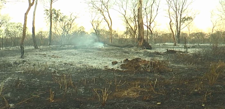 bandipur fire 3