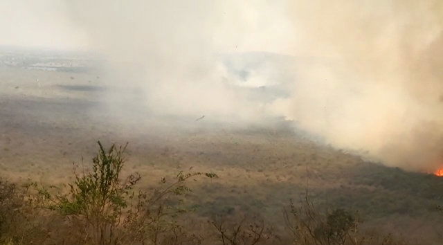 bandipur national park