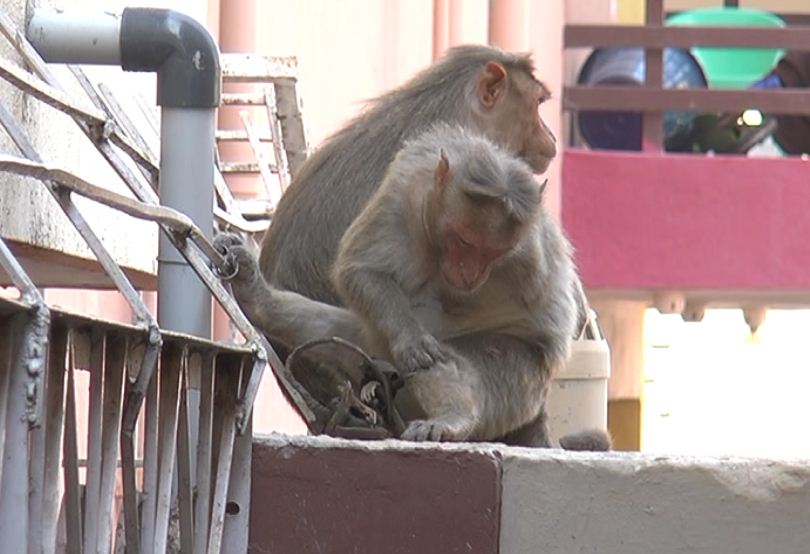 cng mother crying 2