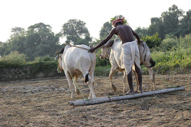 kisan 1