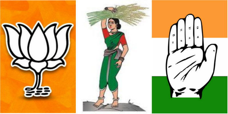 political party