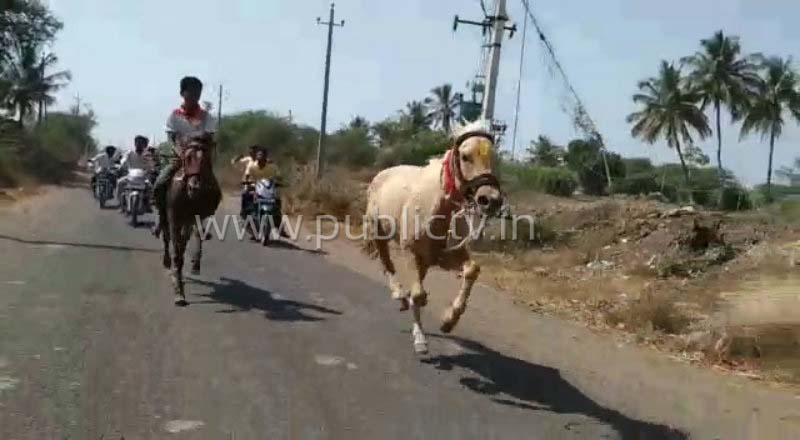 CKD horse race A