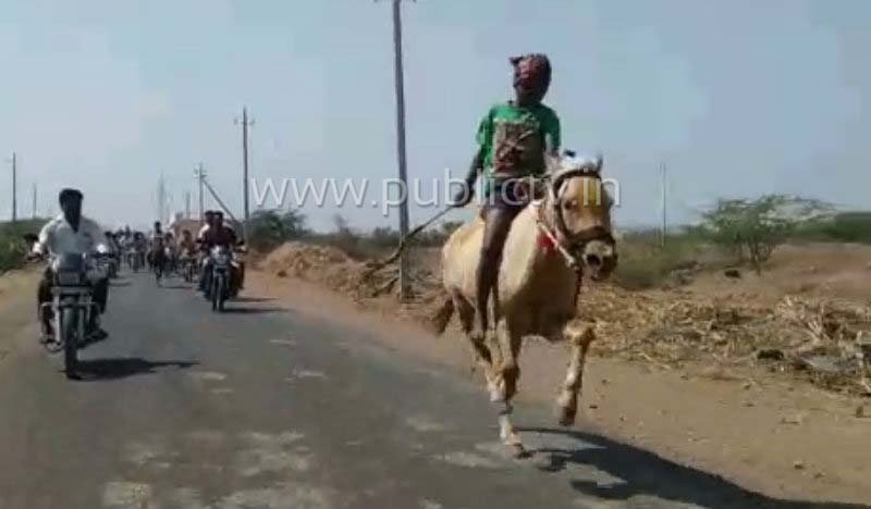 CKD horse race