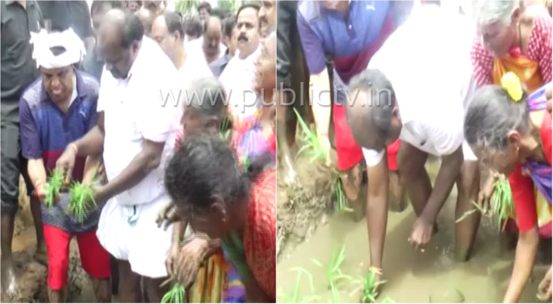 HDK copy