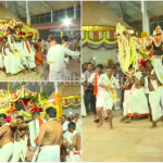 MNG DAIVA copy