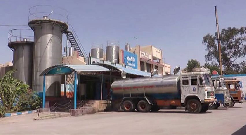 Nandini milk