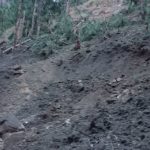 balakot main