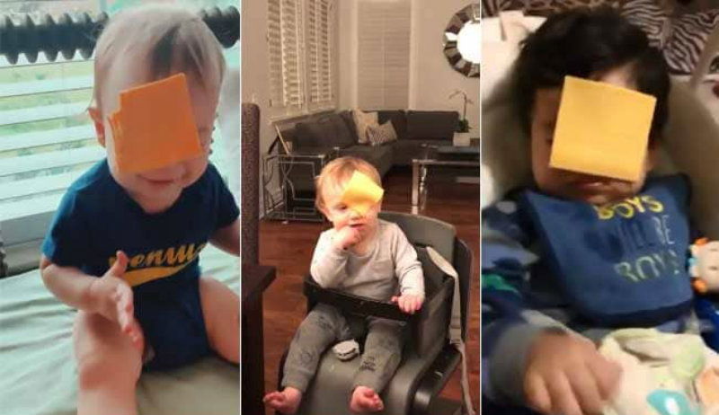 cheese challenge 2