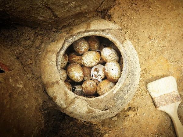 china egg 1