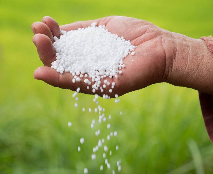 fertilizer urea