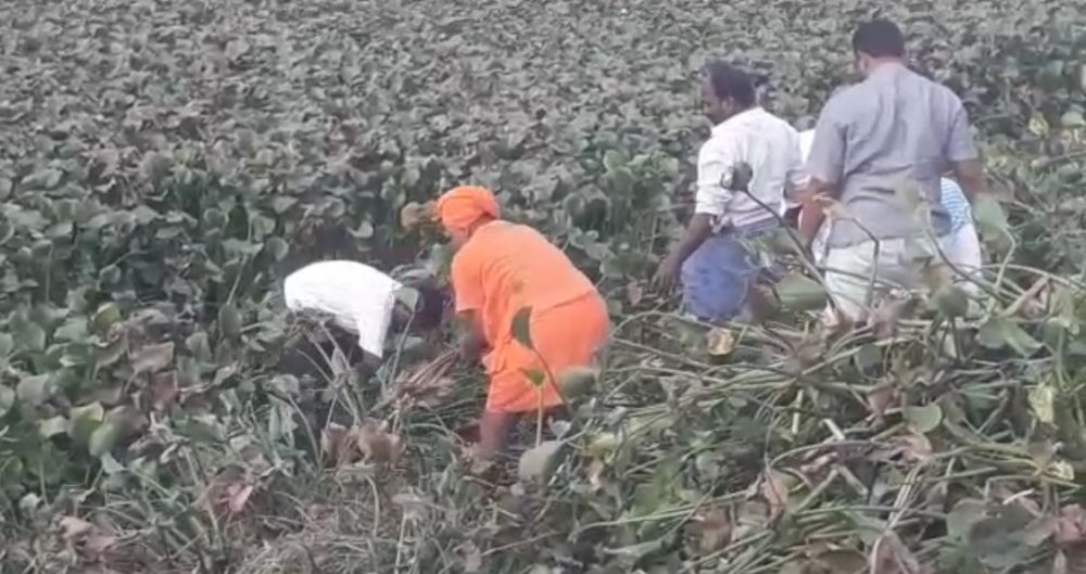 kpl swamiji cleaning 2