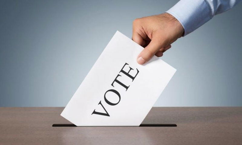 vote
