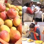 CKB MANGO copy