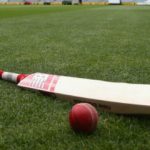 cricket bat 1
