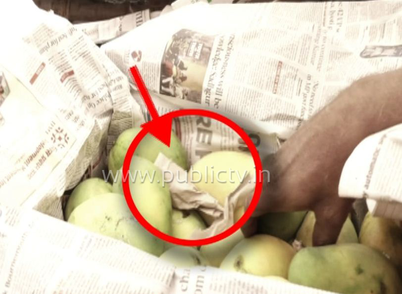 mango sting 2 copy