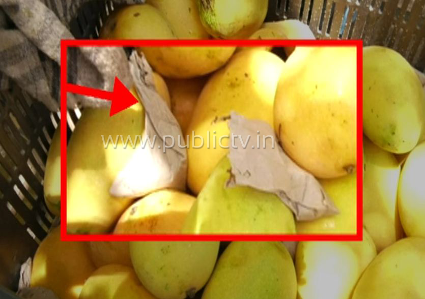 mango sting copy