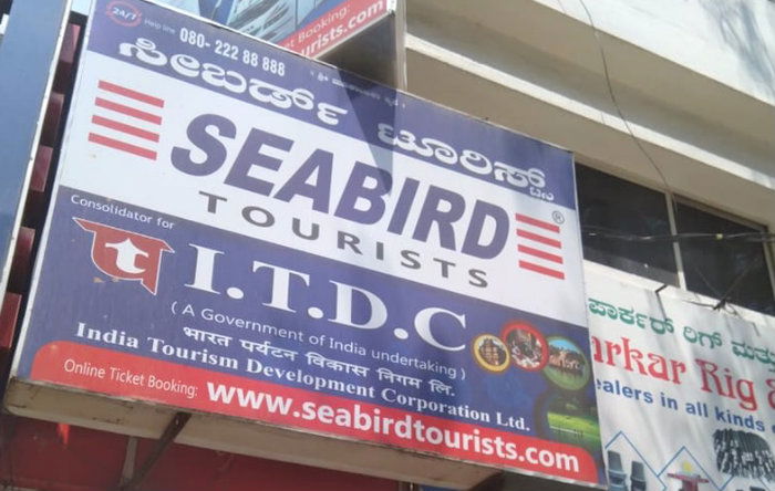 sea bird