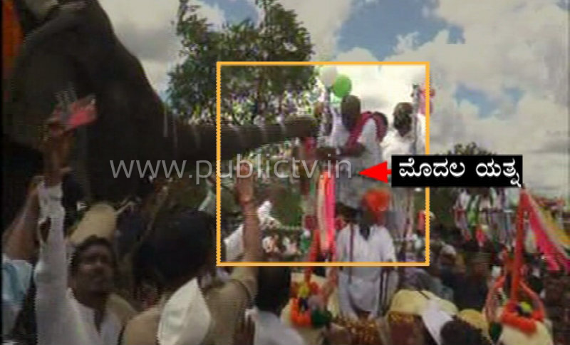 CM ELEPHANT