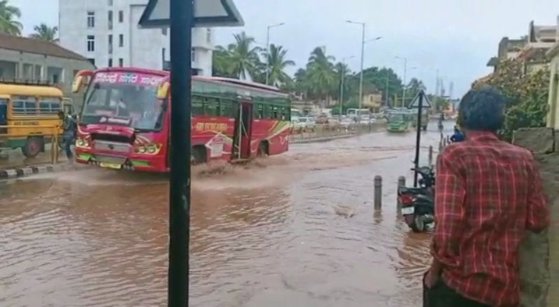DWD Rain