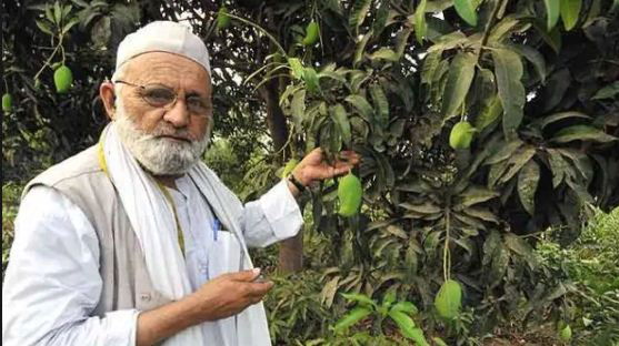 Haji Kalimullah
