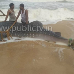 MNG SHARK FISH copy