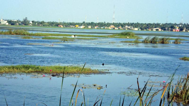 Parthipattu lake