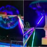 amusement park collage
