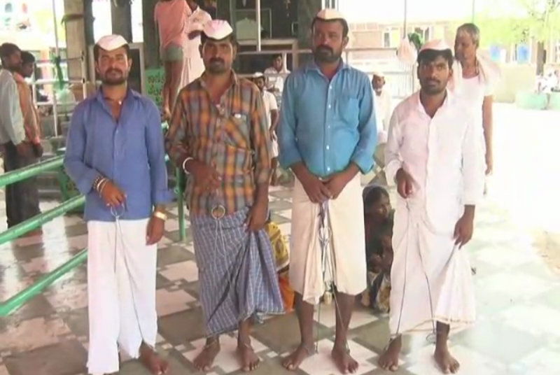 bij maduve kaidi 3