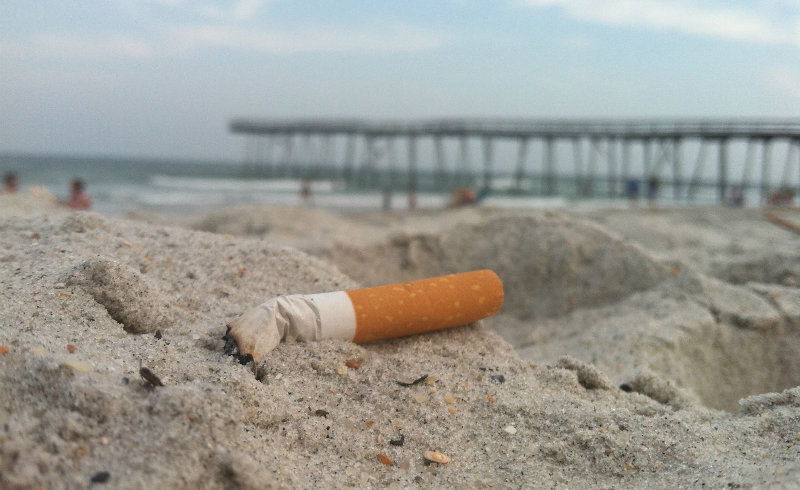 cigarrete bird 3