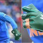 collage dhoni