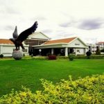 Eagleton 1 1