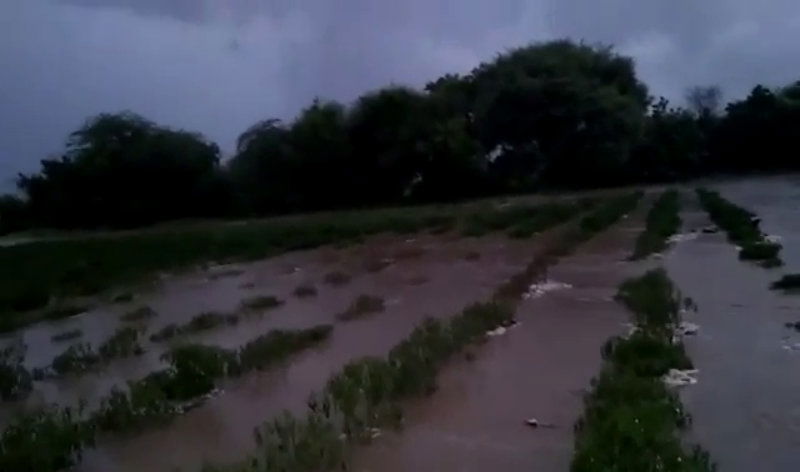 HVR RAIN A