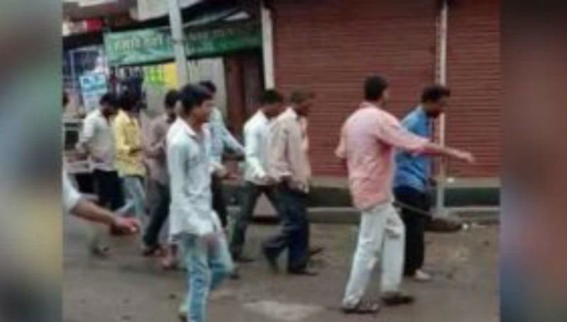 MP Cow A