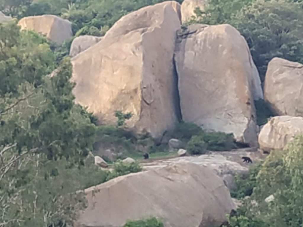 Nml Karadi 2